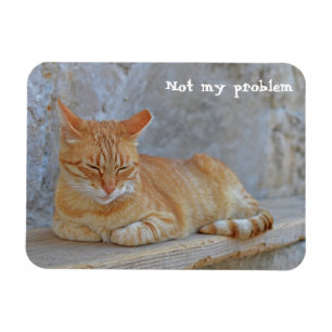 Dubrovnikで休んでいるTabby cat私の問題ではない! マグネット
