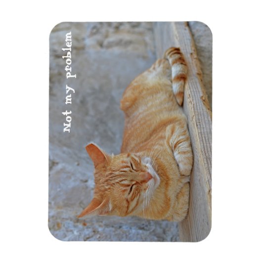 Dubrovnikで休んでいるTabby cat私の問題ではない！ マグネット (縦)