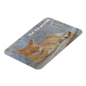 Dubrovnikで休んでいるTabby cat私の問題ではない！ マグネット (左側)