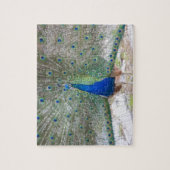 Dubrovnik,クロアチア,ロクラム島,カラフル ジグソーパズル (縦)