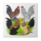 D'Uccles 4羽のオンドリ タイル (正面)