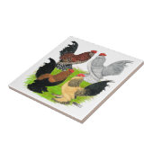 D'Uccles 4羽のオンドリ タイル (側面)