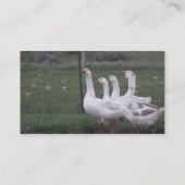 Duck名刺 名刺 (裏面)