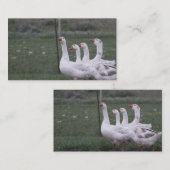 Duck名刺 名刺 (正面/裏面)