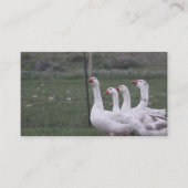 Duck名刺 名刺 (正面)