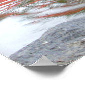 Duck Butt ポスター (角)