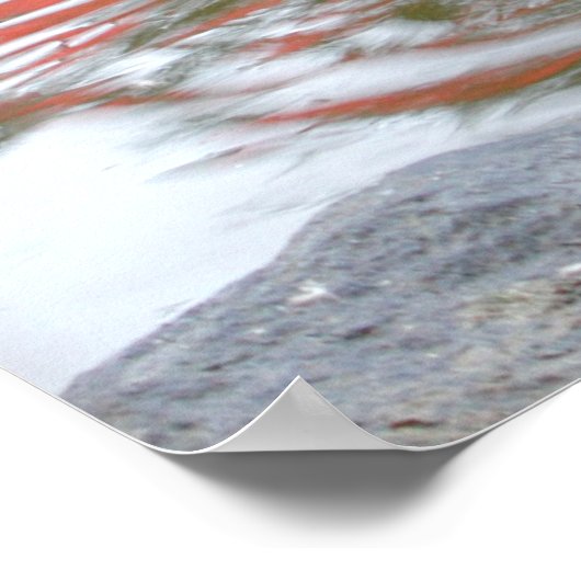 Duck Butt ポスター (角)