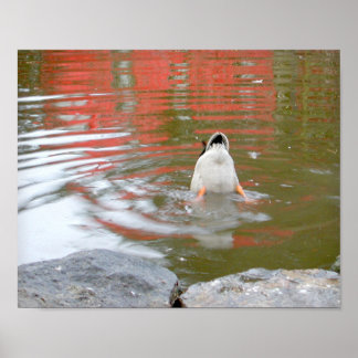 Duck Butt ポスター