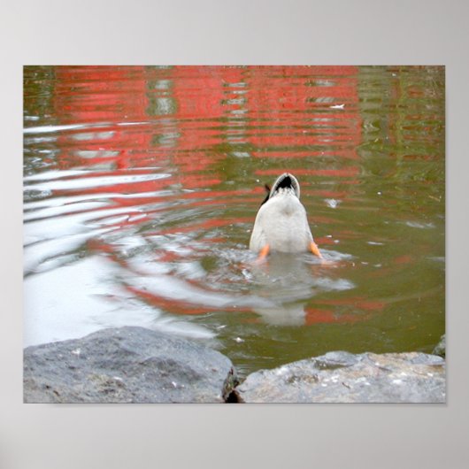 Duck Butt ポスター (正面)