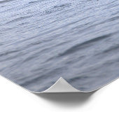  Duck in Icy Water Poster ポスター (角)