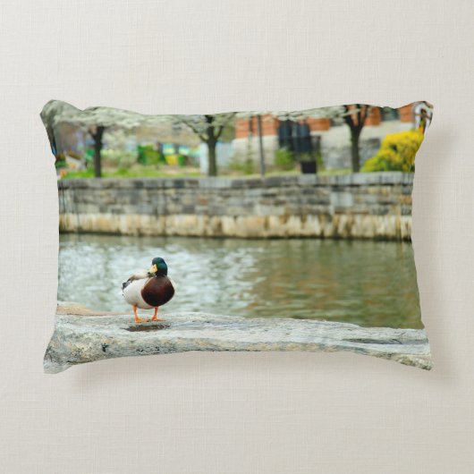 Duck in the Harbor  アクセントクッション (正面)