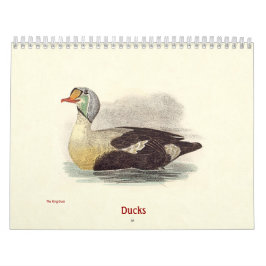 Duck Lithographs - Birds of New York - カレンダー