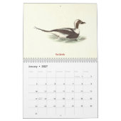 Duck Lithographs - Birds of New York - カレンダー (1月 2027)