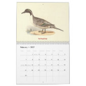 Duck Lithographs - Birds of New York - カレンダー (2月 2027)
