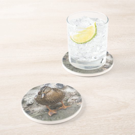 Duck on a Wall Coasters コースター (側面)