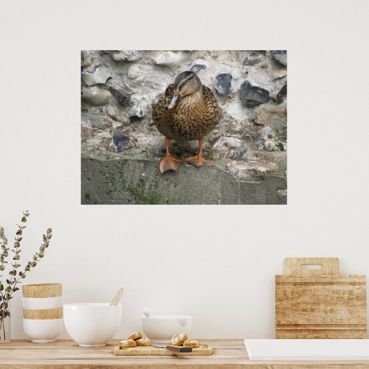 Duck on a Wall Poster ポスター (キッチン)