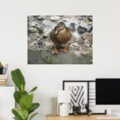 Duck on a Wall Poster ポスター (ホームオフィス)