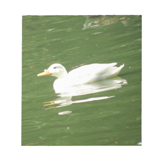 Duck on the Water Notepad ノートパッド (正面)