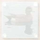 Duck Photo Male Wigeon on on Calm Water Reflection ガラスコースター (裏面)
