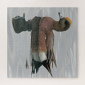 Duck Photo Male Wigeon on on Calm Water Reflection ジグソーパズル (横)