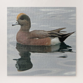 Duck Photo Male Wigeon on on Calm Water Reflection ジグソーパズル