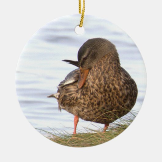 Duck Photo Ornament セラミックオーナメント (正面)