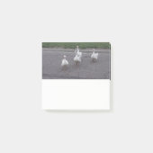 Duck Post It Notes ポストイット (正面)
