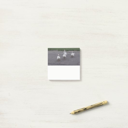 Duck Post It Notes ポストイット (デスク上)