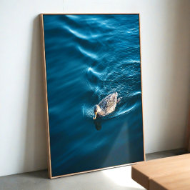 Duck Swimming ポスター