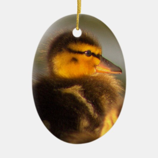 Ducklingフォトオーナメント セラミックオーナメント (正面)