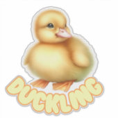 DUCKLING -子供部屋シール シール (正面)