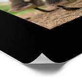 「Duckling Collection」ブラック ポスター (角)