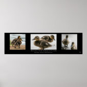 「Duckling Collection」ブラック ポスター (正面)