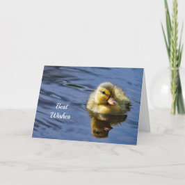 Duckling Congestion結婚のカード カード