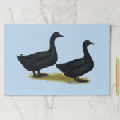 Ducks:  Black Cayugas ペーパーパッド (インサイチュ)