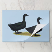 Ducks:  Black Cayugas ペーパーパッド (折り畳み)