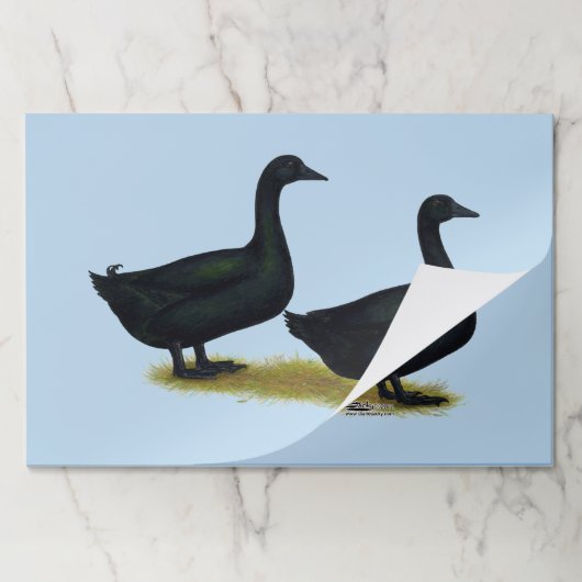Ducks:  Black Cayugas ペーパーパッド (折り畳み)