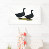 Ducks:  Black Cayugas 横断幕 (インサイチュ)
