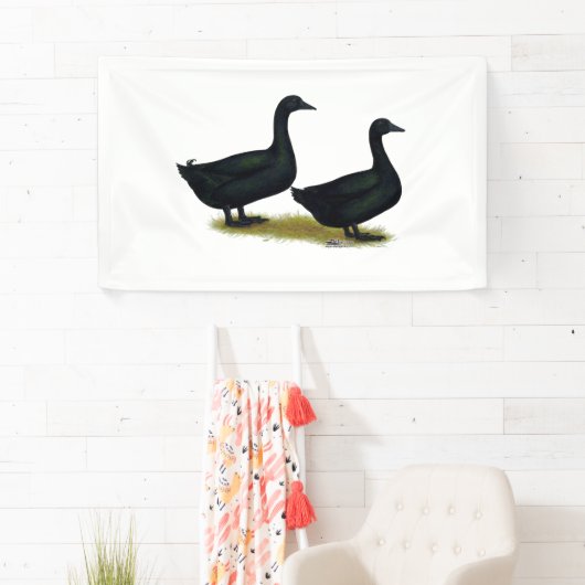 Ducks: Black Cayugas 横断幕 (インサイチュ)