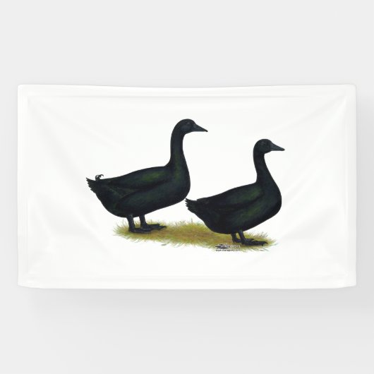 Ducks:  Black Cayugas 横断幕 (横)