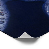 Ducks in a Row ポスター (角)