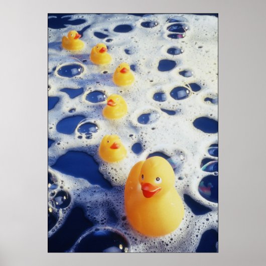 Ducks in a Row ポスター (正面)