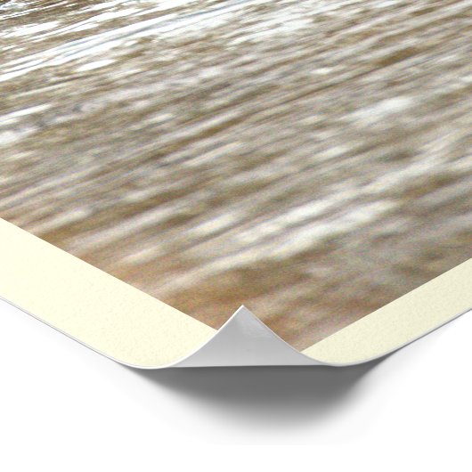 Ducks in Icy Creek Poster ポスター (角)