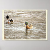 Ducks in Icy Creek Poster ポスター (正面)