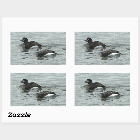 Ducks in Ocean Photo Stickers 長方形シール (シート)