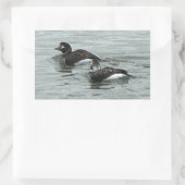 Ducks in Ocean Photo Stickers 長方形シール (バッグ)
