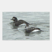 Ducks in Ocean Photo Stickers 長方形シール (正面)
