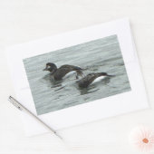 Ducks in Ocean Photo Stickers 長方形シール (封筒)