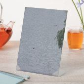 Ducks In Pond Photo 台座サイン (インサイチュ)