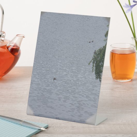 Ducks In Pond Photo 台座サイン (インサイチュ)